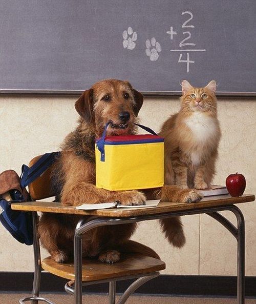 Давайте улыбаться вместе :)