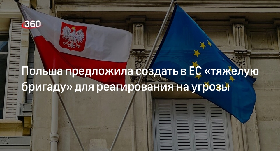 Глава МИД Польши Сикорский призвал создать «тяжелую бригаду» ЕС