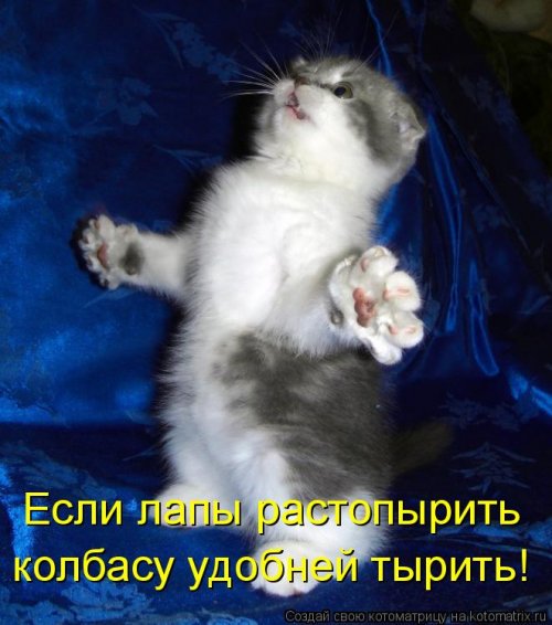 Детская котоматрица (17 шт)