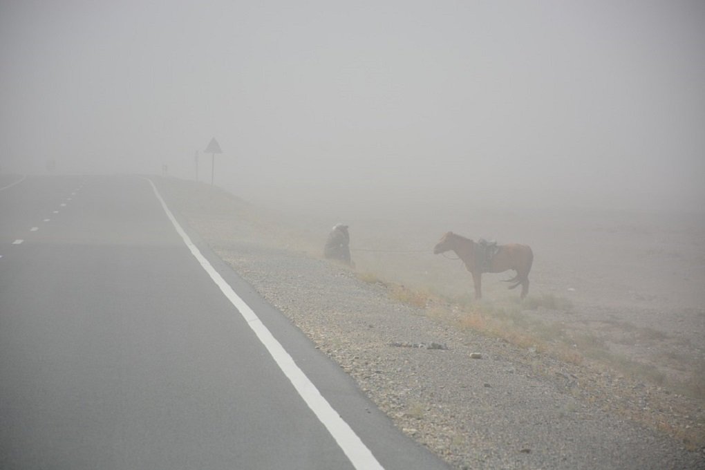 Песчаная буря из Китая и Монголии пришла в Амурскую область