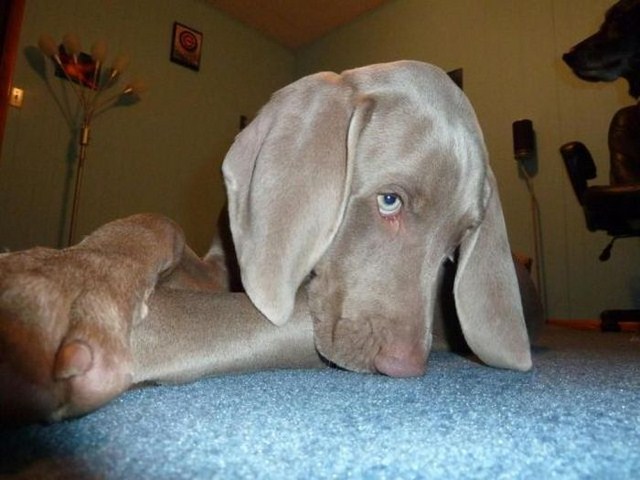 Прикольный позитив в фотографиях (110 фото)