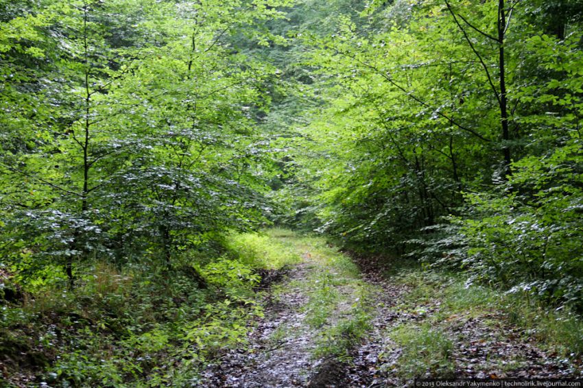фоторепортаж, история, бункер, война