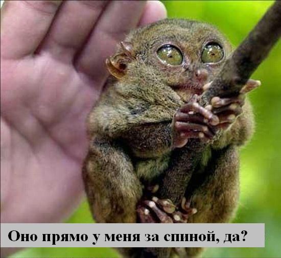 Мысли вслух :) Мысли вслух :)