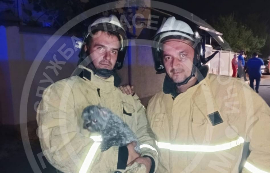 В Сочи спасатели вытащили собаку из-под завалов сгоревшего дома