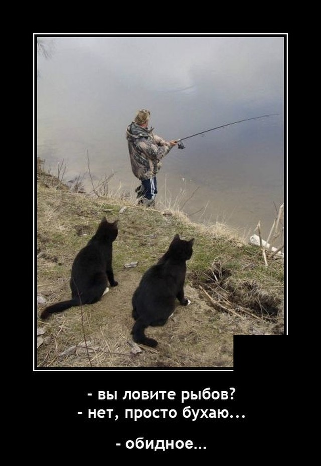 Самые новые демотиваторы Самые новые демотиваторы демотиваторы