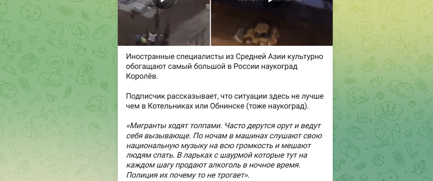 МИГРАНТЫ ВЫХОДЯТ НА ОХОТУ: БОЙЦОВСКИЕ КЛУБЫ ДЛЯ ПРИЕЗЖИХ ПОДНИМУТ БУНТ В РОССИИ расследование,россия