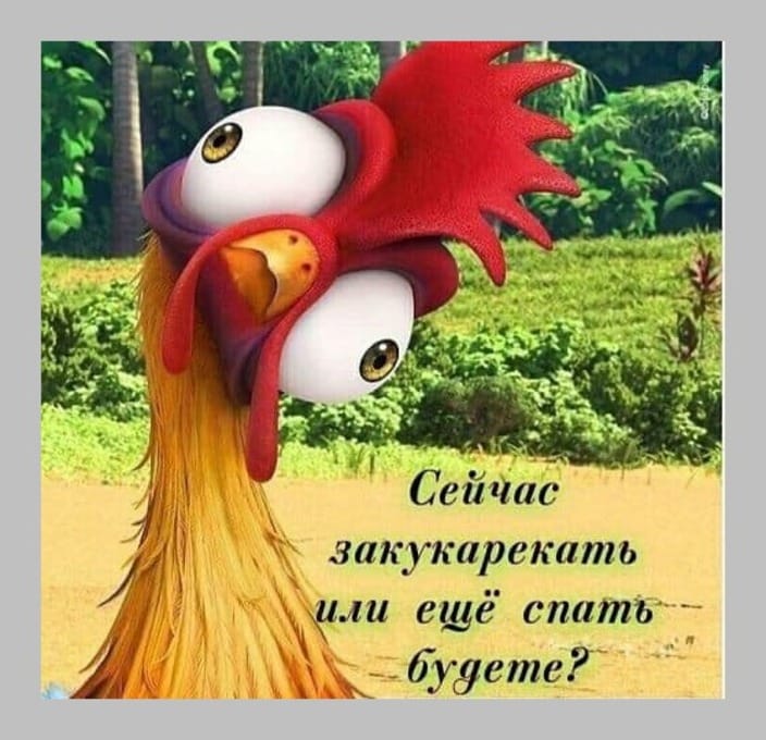 Свежая подборка юмора для хорошего настроения 