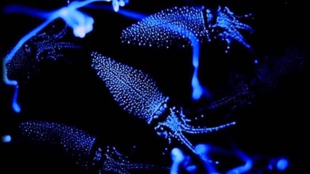 Удивительные водоёмы планеты, с которыми связаны загадочные явления Удивительные водоёмы планеты, с которыми связаны загадочные явления