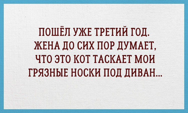 15 забавных открыток о реалиях семейной жизни 