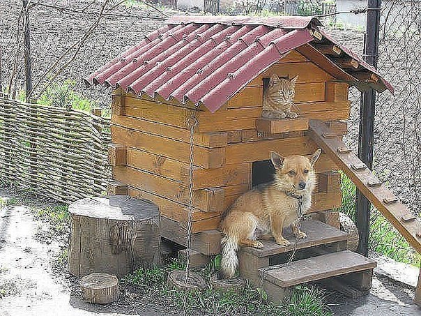 Оригинальные идеи для сада идеи для дачи