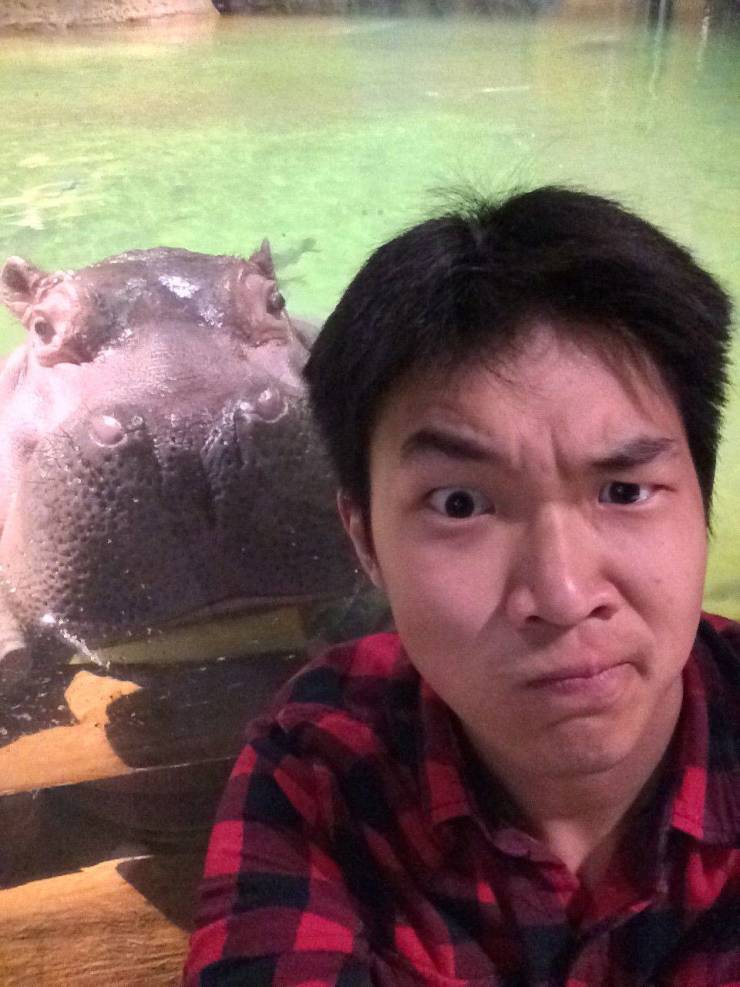 Подборка смешных картинок Подборка смешных картинок приколы,смешные картинки,юмор