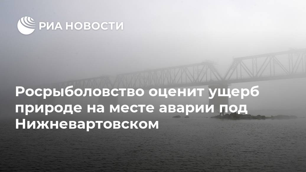 Росрыболовство оценит ущерб природе на месте аварии под Нижневартовском Лента новостей