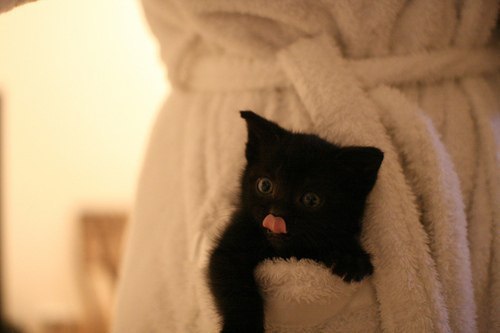 Позитивные картинки и классные фотографии для улыбки красивые фотографии,угарные фотки,фото приколы,шикарные фотографии