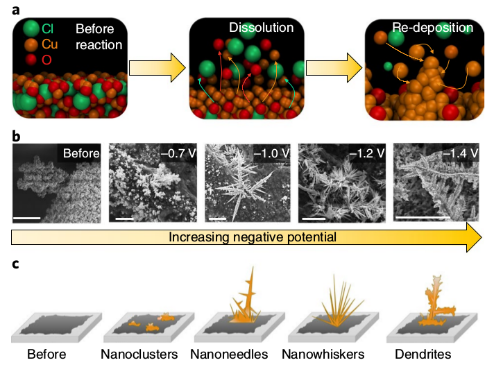 Восстановление углекислого газа. Nanowhisker. Био электро катализ. Electro Catalyst. Nanoclusters instruments.