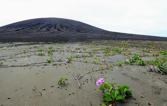 Рождение нового острова в Тихом океане Рождение нового острова в Тихом океане природа