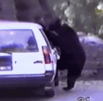 Подборка позитивных и смешных гифок 