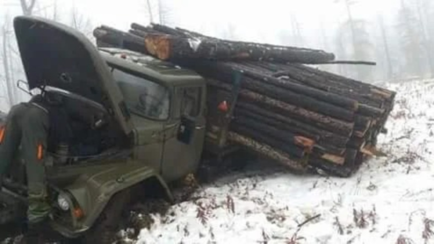 Как возят лес в Монголии Как возят лес в Монголии авто и мото,автоновости,видео
