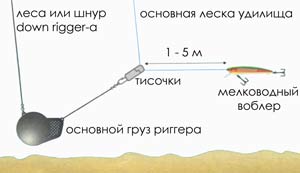 даунриггер