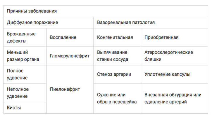 Почечная ГИПЕРТОНИЯ: повышение давления, связанное с почками Почечная ГИПЕРТОНИЯ: повышение давления, связанное с почками