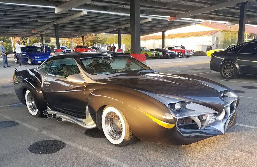 Забавные картинки для хорошего настроения Забавные картинки для хорошего настроения животные,жизнь,звери,земля,котики,коты,курьезы,мир,питомцы,планета,приколы,природа,смешное,собаки,факты,фауна,флора,щенки,юмор