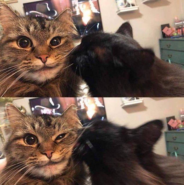 Подборка прикольных картинок  приколы,смешные картинки,юмор