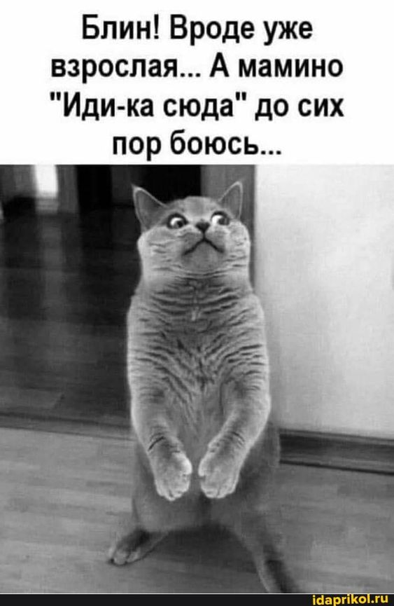 Подборка анекдотов на злободневные темы Подборка анекдотов на злободневные темы