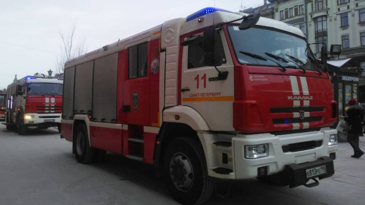 Пожар под Гатчиной унес жизнь одного человека