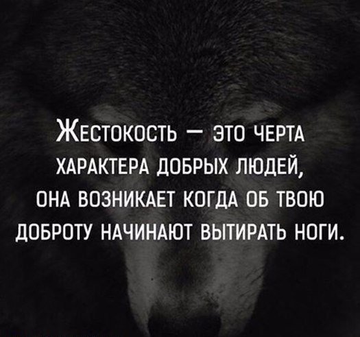 Цитаты, которые дают возможность подумать о жизни картинки,супер