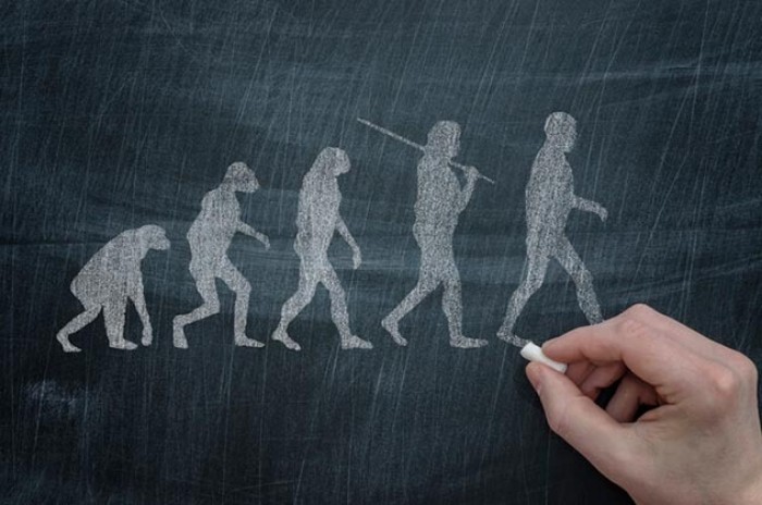 Труд сделал из обезьяны человека: 10 странных утверждений, опровергающих эволюцию наука,странности,факты,эволюция