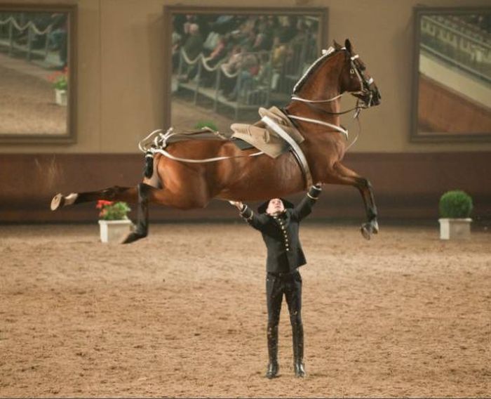 Снимки, сделанные в самый подходящий момент (49 фото)