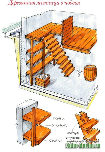 лестница в подвал