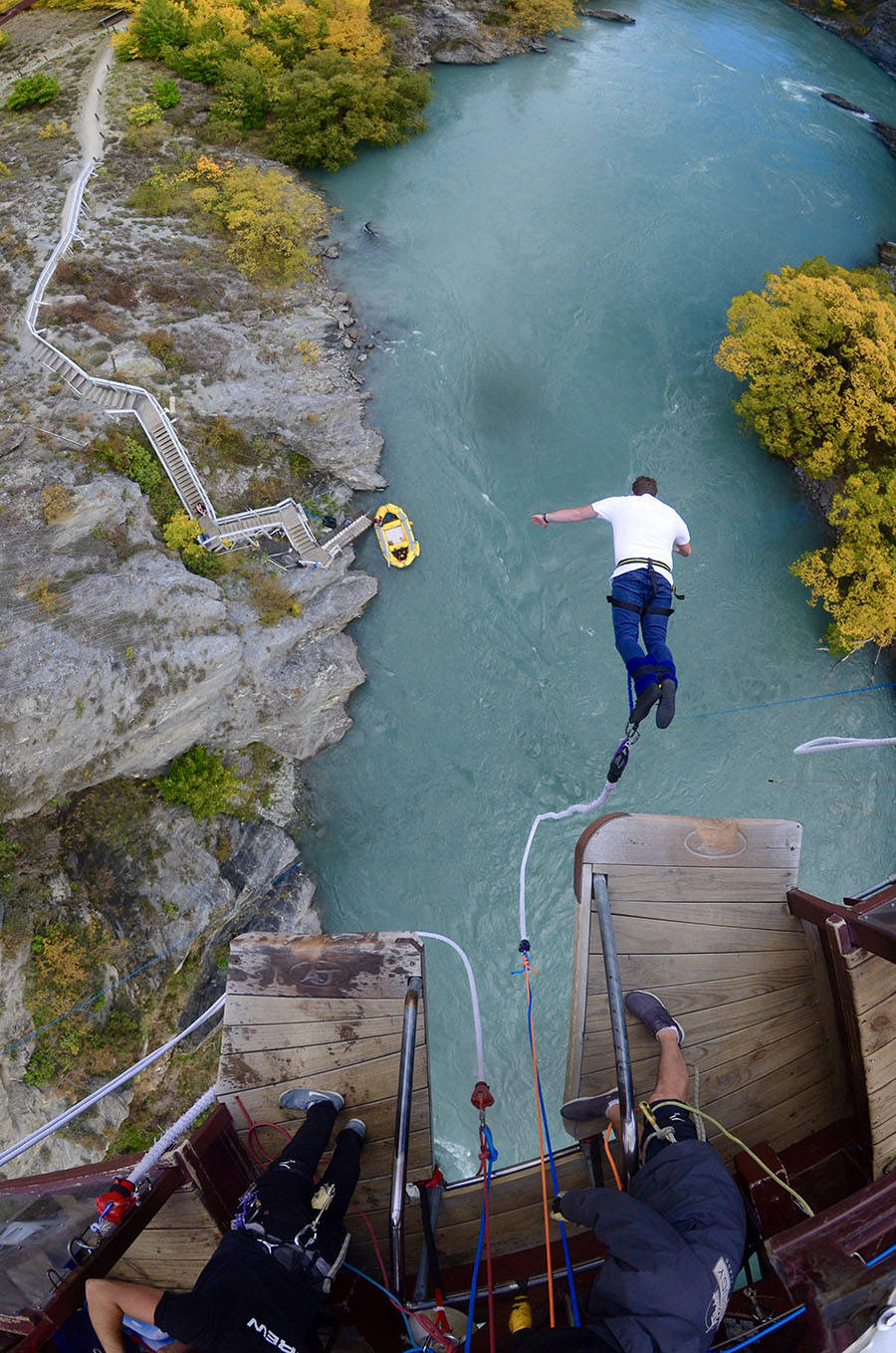 Забавные картинки для хорошего настроения Забавные картинки для хорошего настроения животные,жизнь,звери,земля,котики,коты,курьезы,мир,питомцы,планета,приколы,природа,смешное,собаки,факты,фауна,флора,щенки,юмор