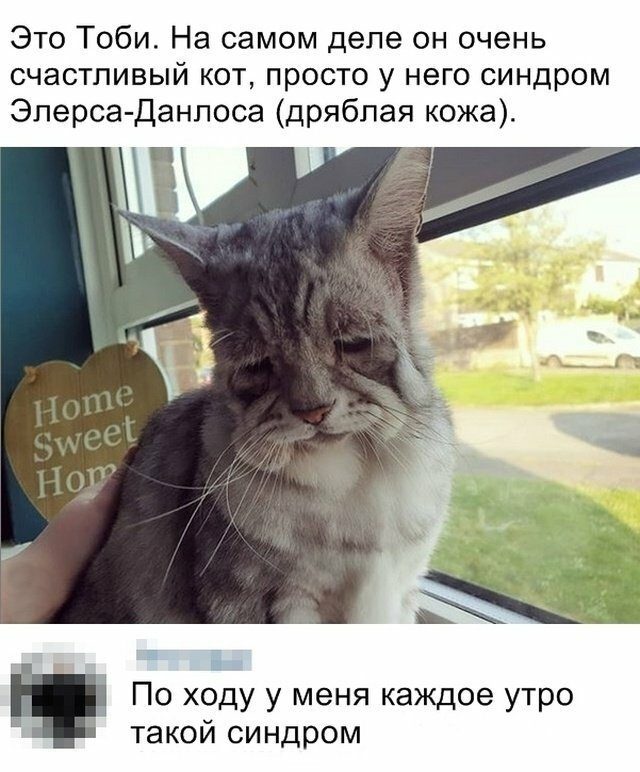 Смешные картинки со всего интернета позитив,смешные картинки,юмор