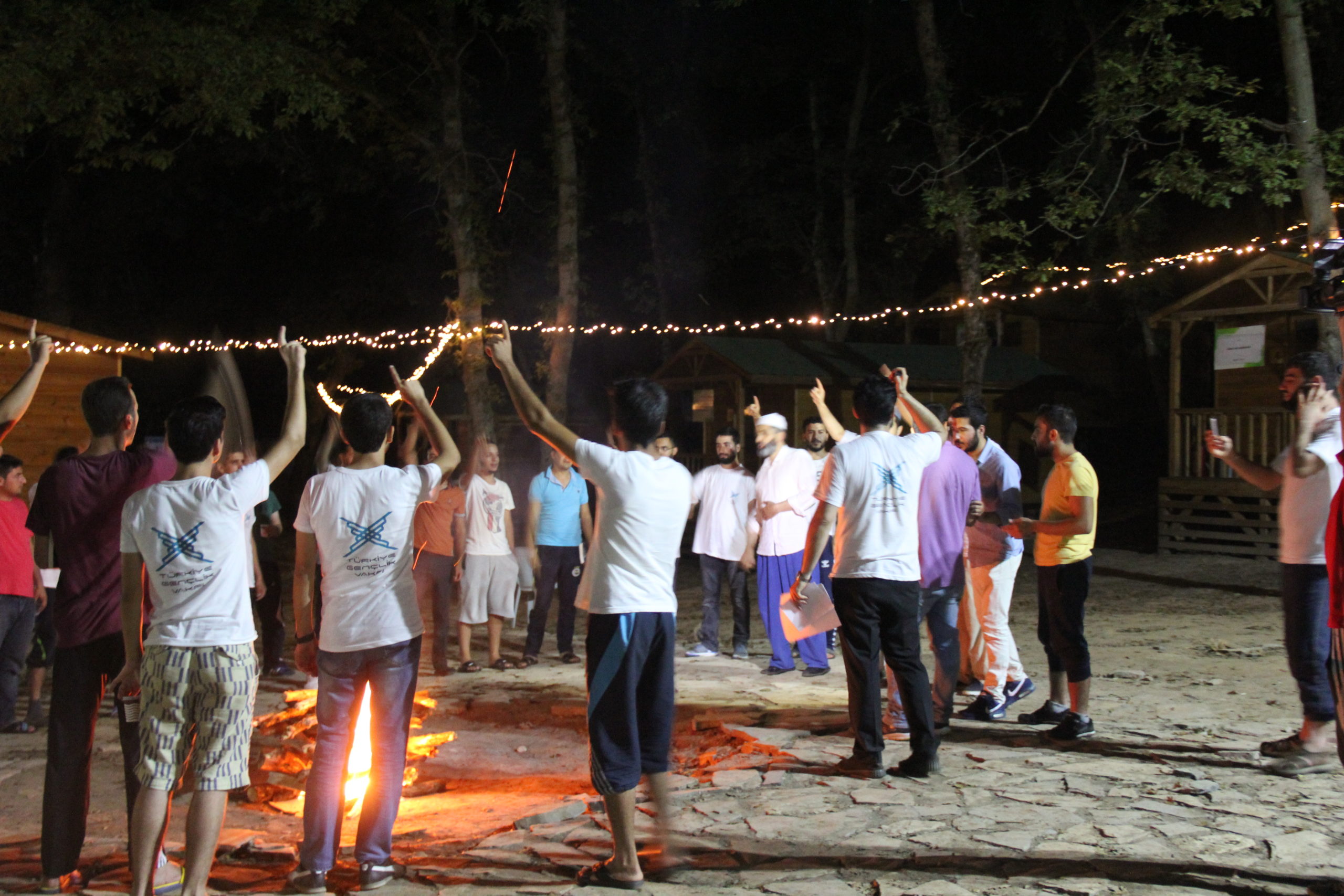 Турция на Северном Кавказе – «мягкая сила» с дальним прицелом Турция на Северном Кавказе – «мягкая сила» с дальним прицелом геополитика