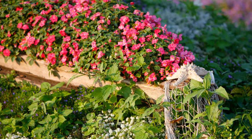 Клумба из бревна своими руками дача,сад и огород,цветоводство