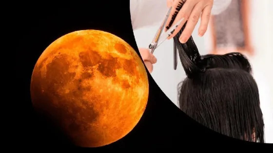 Когда стричь волосы в августе 2025 года согласно лунному календарю