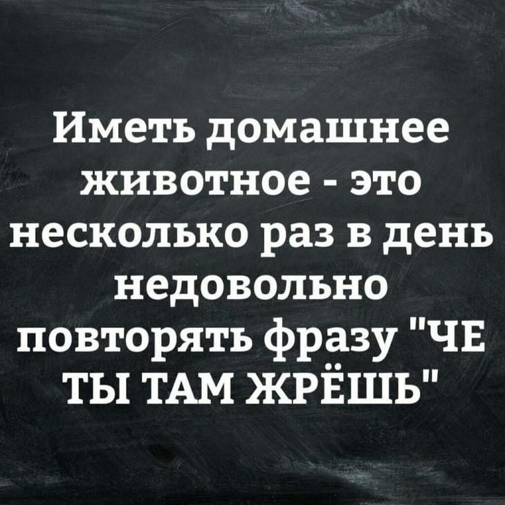 20 ярких и очень женских анекдотов и шуток в картинках. Море позитива и юмора 