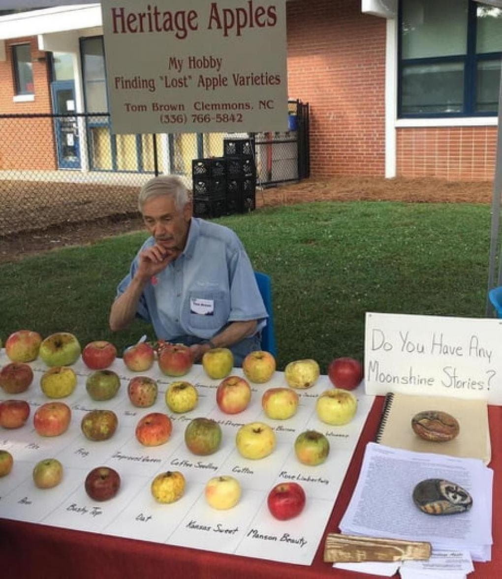 Пенсионер восстанавливает самые редкие сорта яблок с помощью своего уникального сада редких, более, яблок, сортов, Браун, яблоки, сказал, яблоневый, очень, сохранить, принадлежат, прадедушек», прабабушек, дедушек, бабушек, поколениям, фрукты«Эти, настоящее, находились, любимый