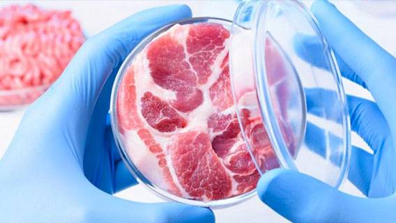Сингапур выдал разрешение на продажу выращенного в лаборатории мяса от компании Eat Just