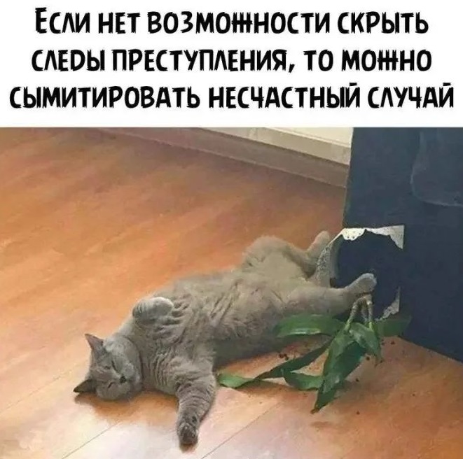 Немножко смешных зверушек... Надёргано , отовсюду