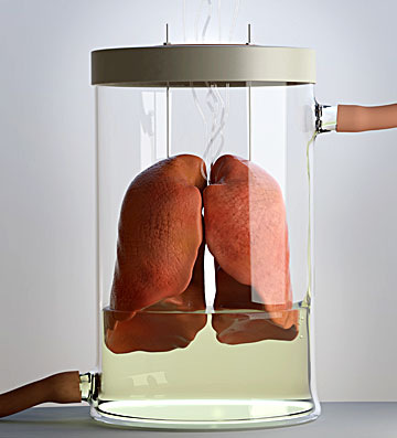 C0239057-Spare_lungs_conce.jpg