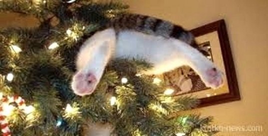 Обувь может многое рассказать о человеке. Если обувь тычится вам в бока и в лицо, то её хозяин чем-то крайне взволнован, например ...)) Обувь может многое рассказать о человеке. Если обувь тычится вам в бока и в лицо, то её хозяин чем-то крайне взволнован, например ...)) анекдоты