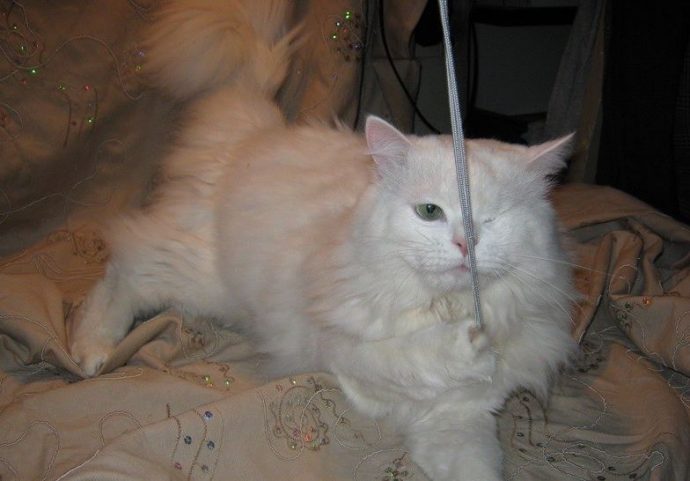 567