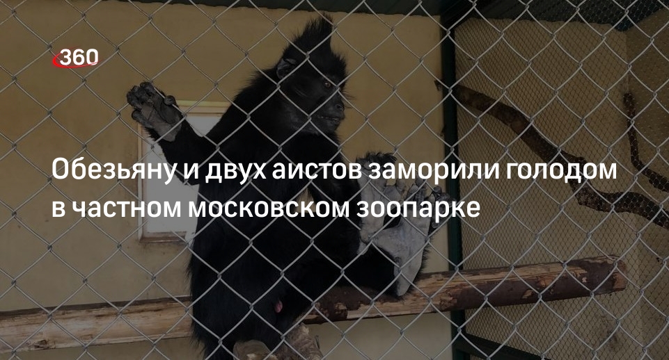 СК возбудил уголовное дело против частного зоопарка в Новой Москве