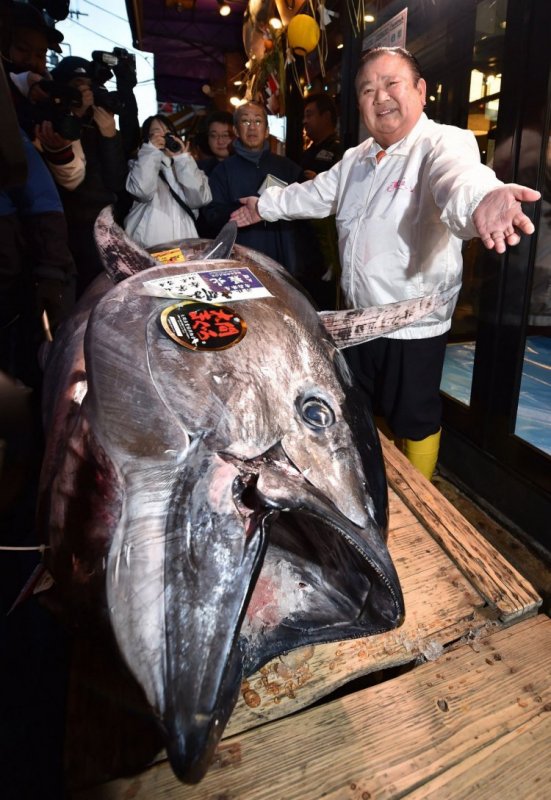 В Японии продали тунца за 1,8 млн долл миллиона, первых, долларов, около, страны, тунца, сложившейся, курсуПо, тогдашнему, заплатили, прошлогодний, остаётся, первом, Первым, двадцать, дороговизне, вторым, рекорд, установил, тунец