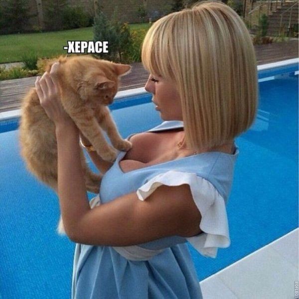 Картинки с надписями мем, прикол, юмор