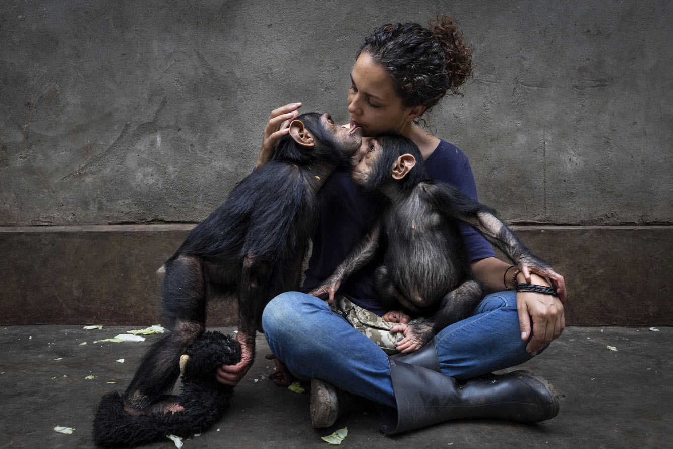 Победители Wildlife Photographer of the Year 2021 Wildlife, Photographer, видов, Подборка, Название, преимущественно, распространённых, Насчитывают, другому, относится, гаррупы, каменных, окуней, области, семейства, лучепёрых, YearГруперы, Lafuente, Javier, ландшафта