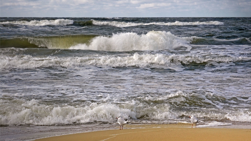 Опасные пляжи: почему люди гибнут на воде в Калининградской области