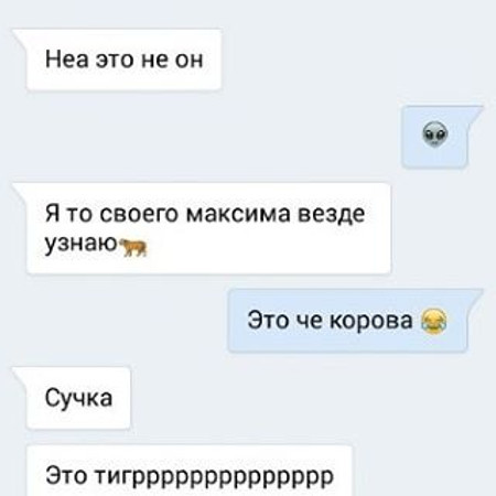 У вас есть подруга? Значит с вероятностью 99,9% вы узнаете в этой СМС-переписке себя прикол, смс, смс с подругой