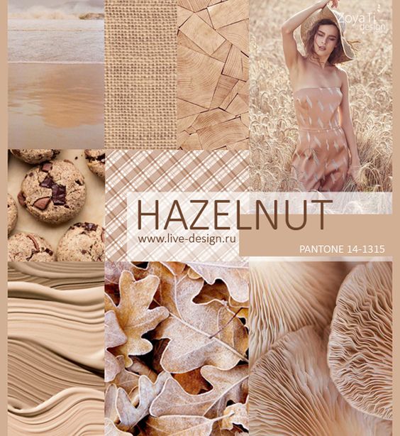 Hazelnut pantone color trend for spring 2017